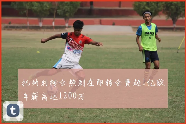 托纳利转会热刺在即转会费超1亿欧年薪高达1200万